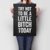 Try Not To Be A Little Bitch Today A2